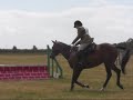 Newt showjumping