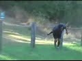 Speed Golf at Am Nationals / Toboggan Course