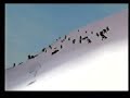 For Albion For Albion