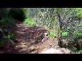 Mishe Mokwa Trail Counterclockwise 3