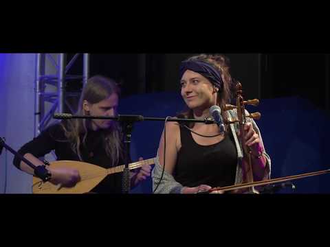 Karolina Cicha & Spółka Karolina Cicha & Spółka