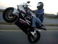 cbr 954 wheelie