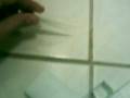 videos de paper gun desert eagle(quick tutorial)