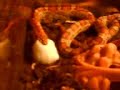 Elaphe guttata