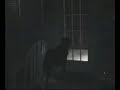 Ghost Caught by dog real must see