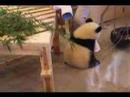 panda kohin