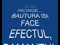 Ce face seful politiei de frontiera Iasi Ce face seful politiei de frontiera Iasi