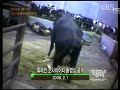 검찰이 MBC PD수첩의 미 쇠고기 광우병 관련 보도 내용을 사실상 '왜곡 보도'로 잠정 결론지었습니다. 서울중앙지검은 오늘오후 중간 수사 결과 발표를 통해 PD수첩의 광우병 보도는 대부분 취재한 사실과 다르게 왜곡하거나 의도적으로 편집했다고 밝혔습니다.검찰은 자체적으로 재구성한 PD수첩의 취재 원본 파일 공개를 통해 다우너 소가 광우병과 직접 연관이 없는데도 번역을 의도적으로 바꿔 광우병 의심 소로 각인시켰고 미국인 '아레사 빈슨'도 위 절제 수술을 받은 사실과 그 후유증을 언급하지 않아 사인을 인간 광우병으로 기정사실화했다고 지적했습니다. 검찰은 또 유전자형만을 기준으로 한국인이 인간 광우병에 걸릴 위험이 높다고 보도한 점 등PD수첩 제작진에 140쪽 분량의 공개 질의서를 보내고 해명을 요구했습니다.◆ CBS 노컷뉴스(노컷TV) 채승옥PD◆ 인터넷뉴스의 새로운 상상, 노컷TV 　 ⓒ CBS 노컷뉴스 무단전재 및 재배포 금지 ◆ 바로가기 노컷TV http://www.nocut.tv            노컷뉴스　http://www.nocutnews.co.kr