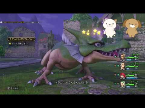 動画