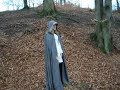 Raining leaves. Raining leaves.