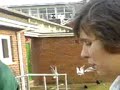 tasker milward video (wtf is going on)