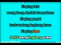 Opick - Obat Hati (Karaoke + Lirik)