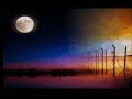 حسن نمر شفاعمرو مجوز يرغول دبكة درازة شفاعمرو الكعبية بيرالمكسور الغريفات الطباش الزرازير البعنة النجيدات طمرة موسى حافظ الجلماوي الشوشاريشفاعمر الناصرة عين ماهل الكعبية حيفا يافا القدس غزة نابلس رام اللة ام الفحم الرينة كفر كنا vr6_1@windowslive.com