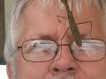 Praying Mantis climbing my face Not in slow motion