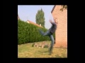 publicit� pomme de terre
