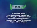 Game Wave Trivia - True or False?