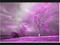 Darkel - At The End of the Sky