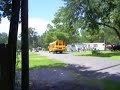 Bus #565 Pass By