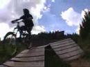Kranjska Gora 08.........sometimes they comeback