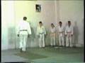 Tsutsumi Ryu Bridgefall