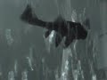 Fish Surfing the Bubbles Plecostomus Under The Sea