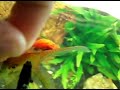 Feeding Time