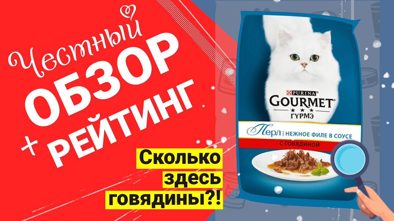 Обзор влажного корма для кошек Purina Gourmet Perle