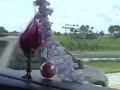 the university of florida travel and recreation program (trip) goes biking to alafia state park.  and all i get is this stupid video.