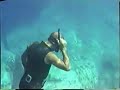 Ponza - Tuffi e immersioni