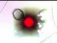 DJ Kingpin MC`s RAPS - ORIGINAL NUTTAH Live drum n bass mix