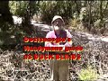Murphysboro Illinois DocIcenogle's Red Green Duct Tape duck Blind skit handymans guide # 3