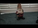 pogo