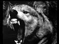 saknet - windir