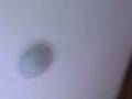 videos de justin counts.3gp
