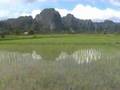 Vang Vieng Laos
