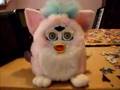 demonic furby?