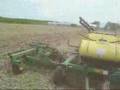 No-till beans
