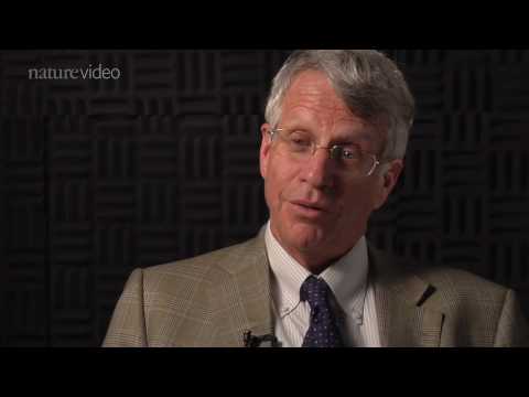 Splitting Sclerosis: by Nature Video