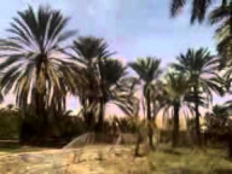 أنشودة من ثرات وادي ميزاب-