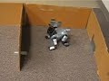 Tekkotsu Aibo Maze Exploration