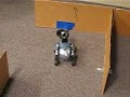 Tekkotsu Aibo Maze Exploration