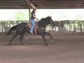 Shooter a 3yr old by Dash Ta Fame making his first appearance with Nicole Torturo of 3Drum. This colt has less than 90 days barrels on him and he is cruising a second off the best horses in Oklahoma.