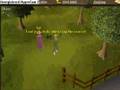 (the first) Fish Sticks! Runescape Music Video