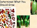 Marketing Your Produce - Marketing to Diverse Tastes