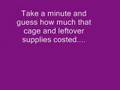Your cavies' ( guinea pigs') dream cage: Make it reality!