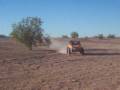 tiznado's racing
