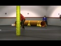 2010-02-09 | Dexter Portuguese Podengo Pequeno Agility 020610 CPE L2 Standard ~> Dexter, Level 2 Standard CPE. Q#1! 1st place (<span>1:)