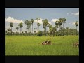 cambodia   beautiful ancient angkor  part 1   en 