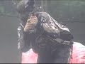 in the snake paintball video series #2