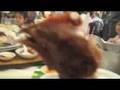 Attack of the Chicken Head